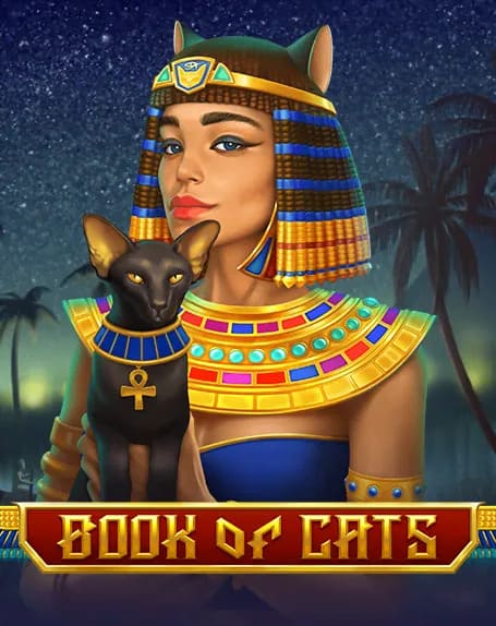 book of cats B gaming book of cats B gaming