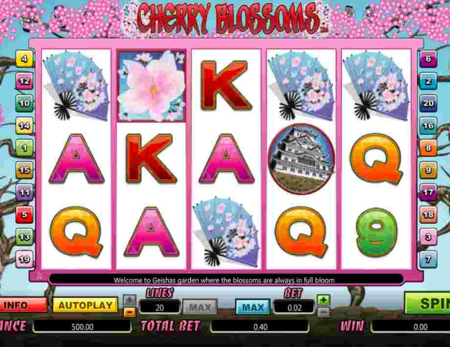 Cherry Blossoms Cherry Blossoms